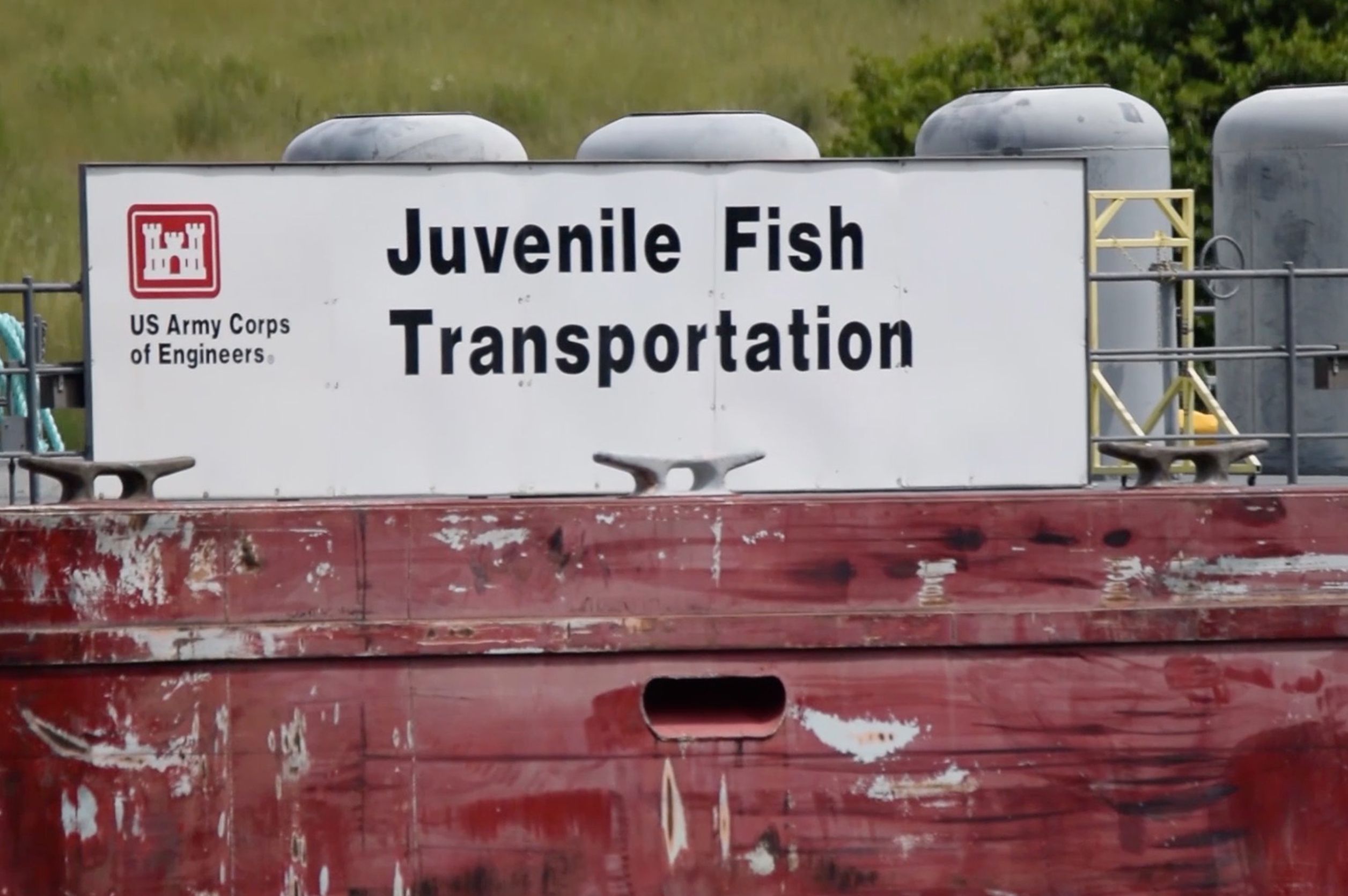 Passing Through – Part 2; Juvenile Fish Transport 